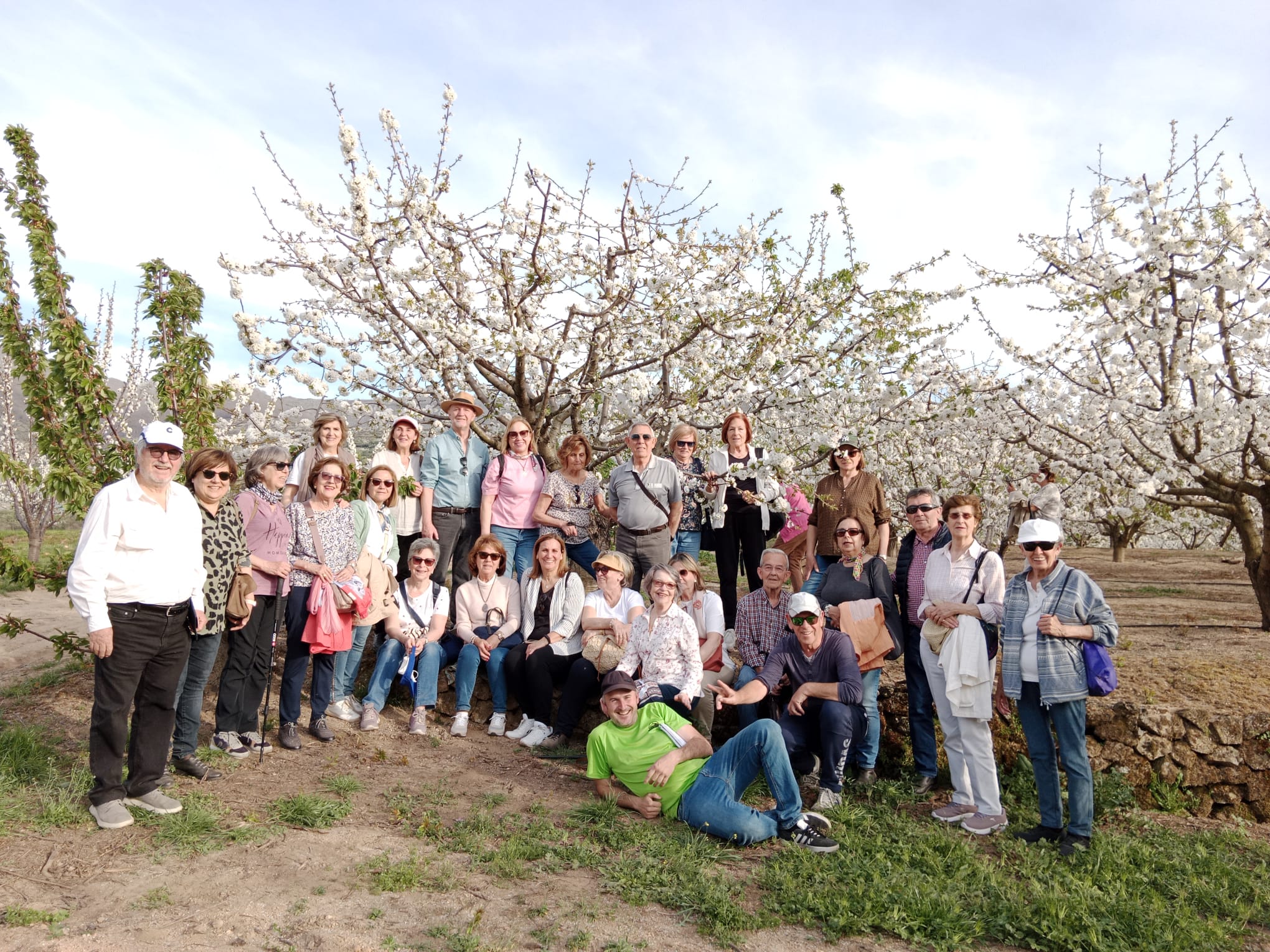 ESPECTÁCULO NATURAL 2023: Cuando florecen los cerezos en el Valle del Jerte  este año 2023